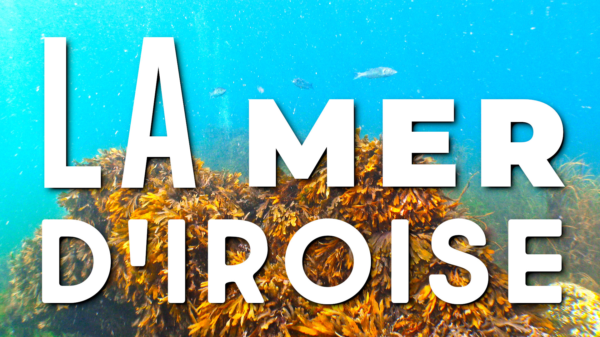 La mer d’Iroise – 1