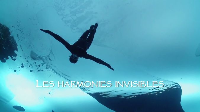 Les harmonies invisibles
